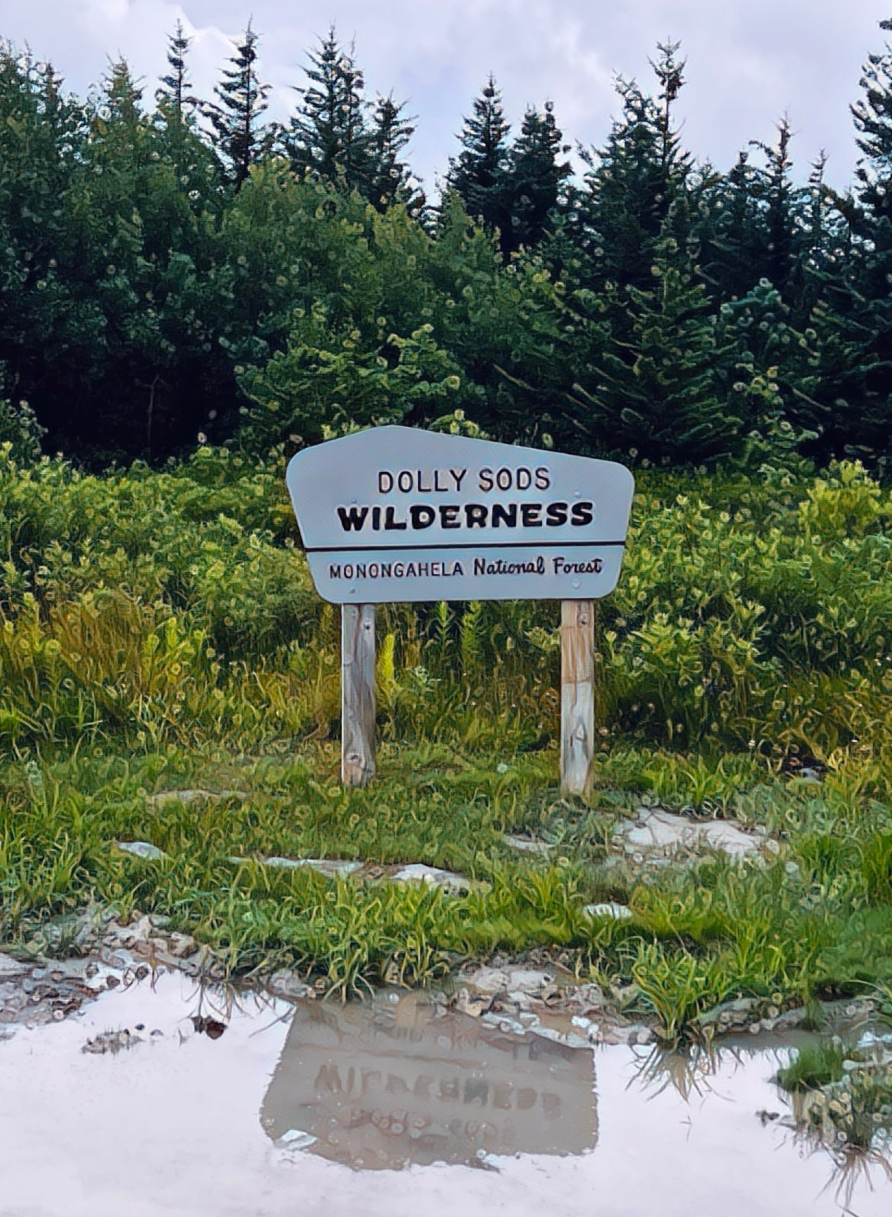 Spruce Knob, Seneca Rocks, Bear Creek & Dolly Sods, West Virginia