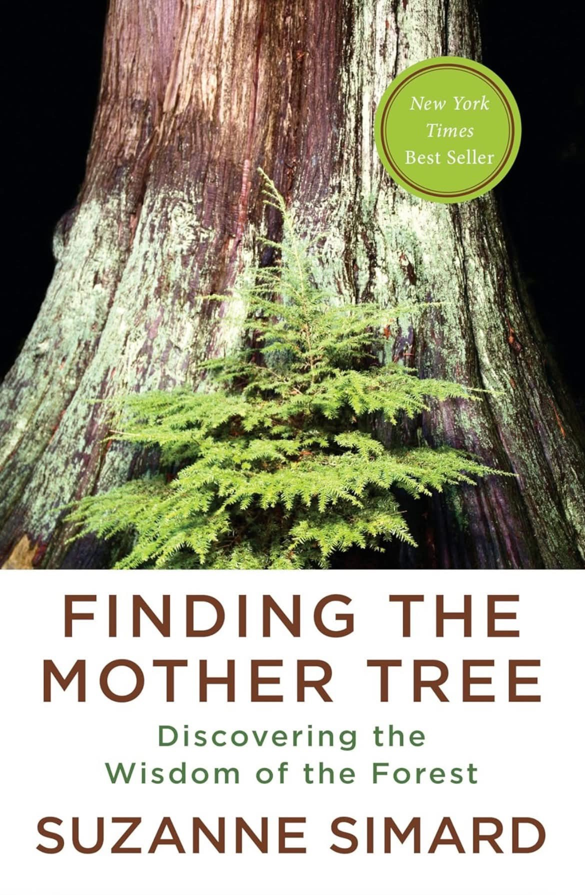 🌲 Finding the Mother Tree — A 40-Minute Zoom Book Club Experience